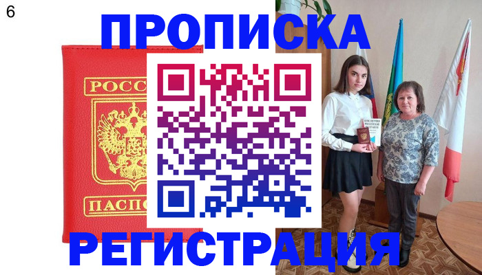 временная регистрация поиск в Новозыбкове